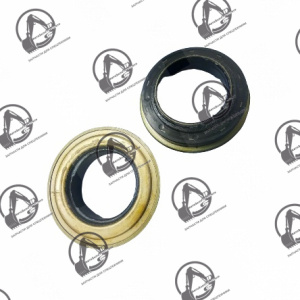 Сальник E5500300